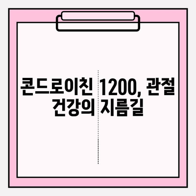 관절 건강을 위한 선택! 콘드로이친 1200 효능과 종류| 궁금한 모든 것 | 관절 건강, 연골, 효능, 종류, 추천