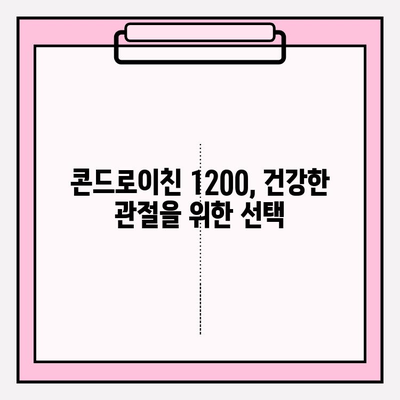 콘드로이친 1200| 건강한 관절을 위한 선택 | 관절 건강, 연골 건강, 건강 기능성 식품