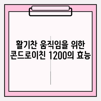 콘드로이친 1200| 건강한 관절을 위한 선택 | 관절 건강, 연골 건강, 건강 기능성 식품