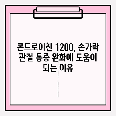 콘드로이친 1200| 손가락 관절 통증 완화, 효과적인 방법은? | 관절 건강, 손가락 통증, 콘드로이친 섭취