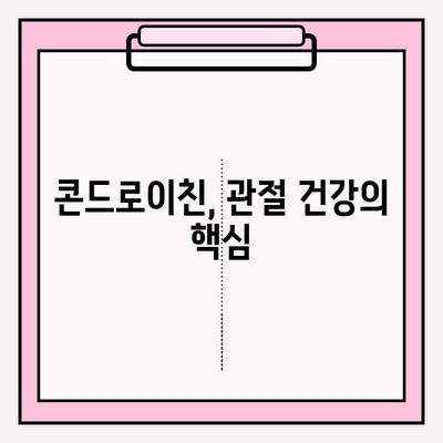 미래 관절 건강 지키는 지름길, 콘드로이친 섭취의 놀라운 효과 | 관절 건강, 연골 건강, 예방, 건강 정보