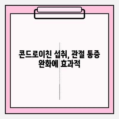 미래 관절 건강 지키는 지름길, 콘드로이친 섭취의 놀라운 효과 | 관절 건강, 연골 건강, 예방, 건강 정보