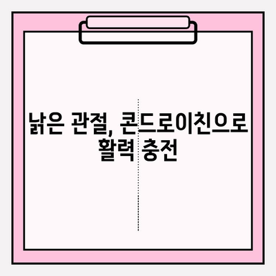 콘드로이친| 관절 건강을 위한 필수 성분, 효능과 섭취 방법 | 관절 건강, 연골 건강, 건강 식품