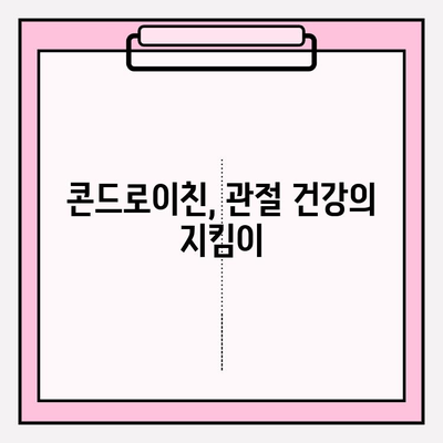 콘드로이친의 효능| 관절 건강과 염증 관리를 위한 과학적 분석 | 건강, 관절, 염증, 영양