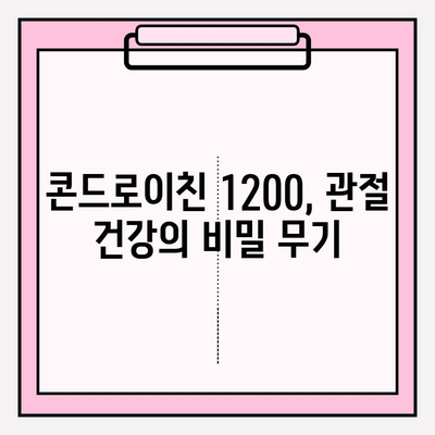 콘드로이친 1200 관리법| 건강한 관절 유지의 핵심 | 관절 건강, 연골 관리, 효과적인 섭취 팁