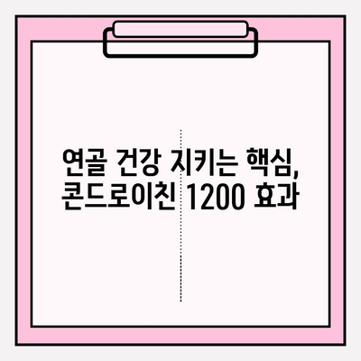 콘드로이친 1200 관리법| 건강한 관절 유지의 핵심 | 관절 건강, 연골 관리, 효과적인 섭취 팁