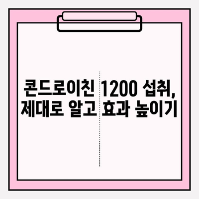 콘드로이친 1200 관리법| 건강한 관절 유지의 핵심 | 관절 건강, 연골 관리, 효과적인 섭취 팁