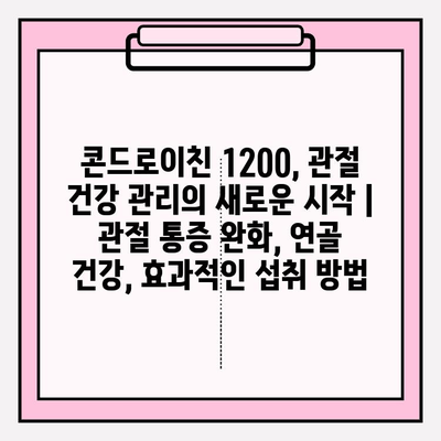 콘드로이친 1200, 관절 건강 관리의 새로운 시작 | 관절 통증 완화, 연골 건강, 효과적인 섭취 방법