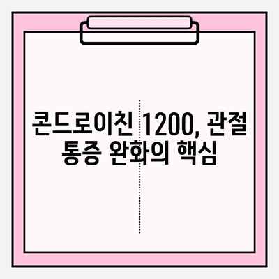 콘드로이친 1200, 관절 건강 관리의 새로운 시작 | 관절 통증 완화, 연골 건강, 효과적인 섭취 방법