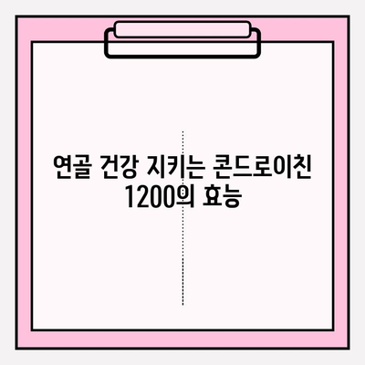 콘드로이친 1200, 관절 건강 관리의 새로운 시작 | 관절 통증 완화, 연골 건강, 효과적인 섭취 방법