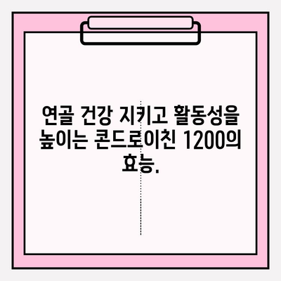 콘드로이친 1200, 관절 건강의 지름길|  건강하고 움직이는 삶을 위한 선택 | 관절 건강, 연골 건강, 활동성 증진