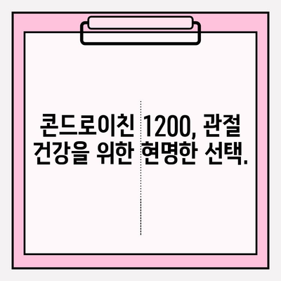 콘드로이친 1200, 관절 건강의 지름길|  건강하고 움직이는 삶을 위한 선택 | 관절 건강, 연골 건강, 활동성 증진