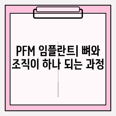 PFM 임플란트 후 구강 내 치유 과정| 조직 재생 및 통합 | 임플란트 치유, PFM 크라운, 구강 관리