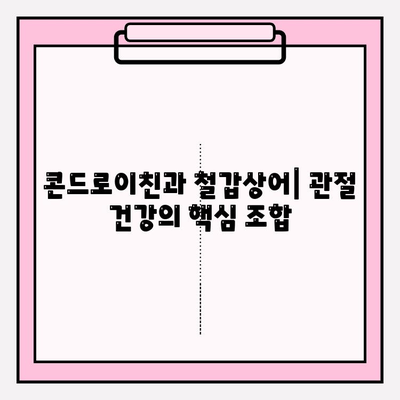 콘드로이친과 철갑상어| 관절 건강을 위한 최고의 조합 | 건강, 관절, 연골, 영양, 보충제