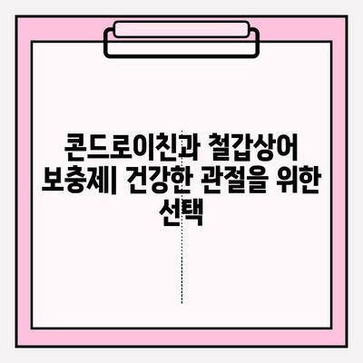 콘드로이친과 철갑상어| 관절 건강을 위한 최고의 조합 | 건강, 관절, 연골, 영양, 보충제