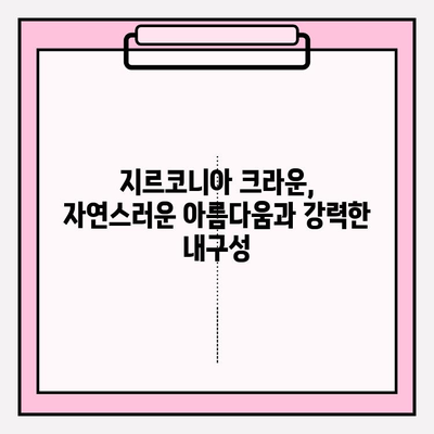 PFM 크라운 교체| 지르코니아 크라운으로의 변화 | 치아 건강, 심미성 개선, 장점 비교