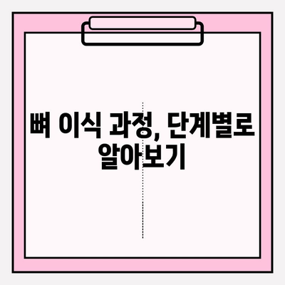 임플란트 뼈 이식, 단계별 과정 완벽 가이드 | 임플란트, 뼈 이식 수술, 치과, 치료