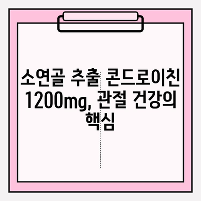 소연골 추출 콘드로이친 1200mg, 뛰어난 흡수율의 비밀 | 관절 건강, 효능, 섭취 가이드