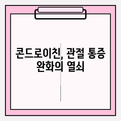 콘드로이친으로 관절 통증과 염증 완화하는 방법 | 관절 건강, 연골 재생, 효능, 부작용