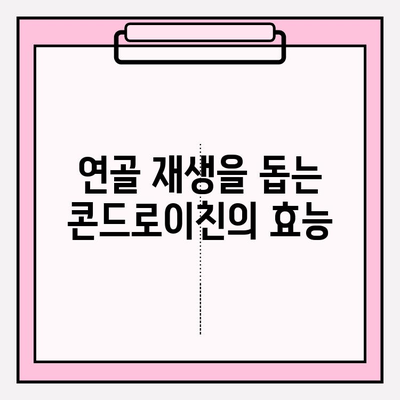 콘드로이친으로 관절 통증과 염증 완화하는 방법 | 관절 건강, 연골 재생, 효능, 부작용