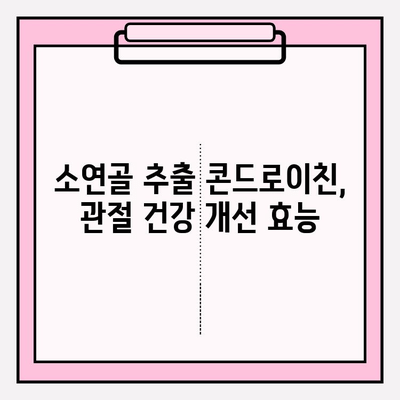 소연골 추출 콘드로이친 1200mg, 뛰어난 흡수율의 비밀 | 관절 건강, 효능, 섭취 가이드