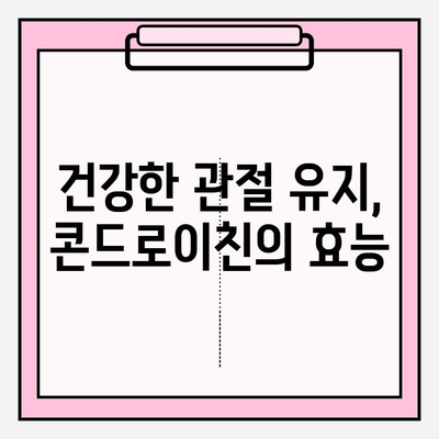 무릎 연골 손실 예방, 콘드로이친의 효과 알아보기 | 연골 건강, 관절 건강, 무릎 통증, 콘드로이친 효능