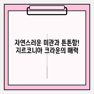 임플란트 크라운 종류 비교| 골드, 지르코니아, PFM 장단점 분석 | 임플란트, 치과, 보철, 가격, 재료