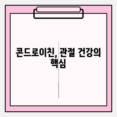 콘드로이친으로 건강한 관절 지키기| 뼈 건강 관리 솔루션 | 관절 건강, 연골, 건강 관리, 영양