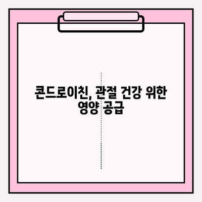 콘드로이친으로 건강한 관절 지키기| 뼈 건강 관리 솔루션 | 관절 건강, 연골, 건강 관리, 영양