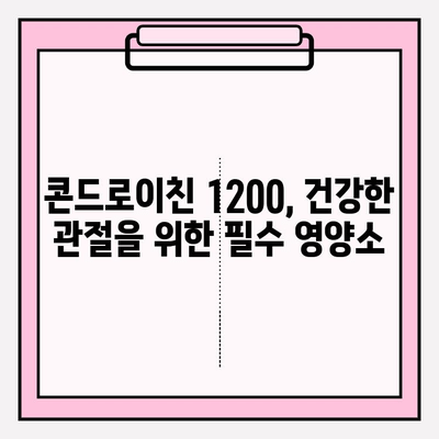 콘드로이친 1200의 힘| 관절 통증과 염증 완화를 위한 선택 가이드 | 건강, 관절 건강, 통증 완화, 염증 완화