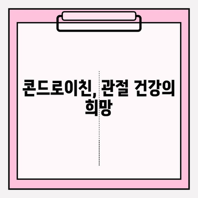 콘드로이친, 관절 염증 완화의 희망| 치유의 힘을 찾다 | 관절 건강, 통증 완화, 건강 정보