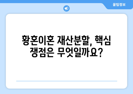 황혼이혼 재산분할 소송, 쟁점과 전략| 주요 논점 심층 분석 | 이혼, 재산분할, 소송, 변호사, 법률