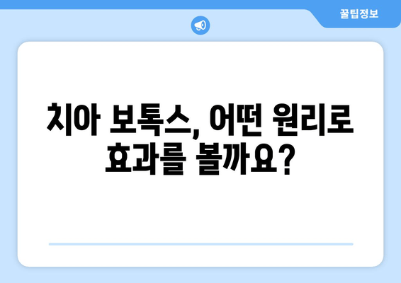 치아 보호 & 교정 대안? 치과 보톡스의 모든 것 | 치아 미백, 잇몸 질환, 치아 교정, 안면 비대칭