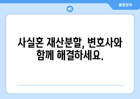 사실혼 관계 재산분할, 변호사가 알려주는 갈등 해결 지침 | 재산분할, 위자료, 법률 상담, 소송