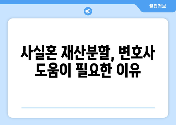 사실혼 재산 분할 갈등, 법적 복잡성을 극복하는 길 | 사실혼, 재산분할, 소송, 변호사, 법률 상담