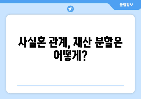 사실혼 재산 분할 갈등, 변호인은 어떻게 도울까요? | 재산분할, 법률 지원, 소송, 합의