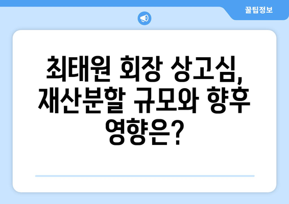 최태원 회장 상고심 재산분할 판결, SK그룹 공식 입장 발표 | 재산분할, 상고심, 최태원, SK