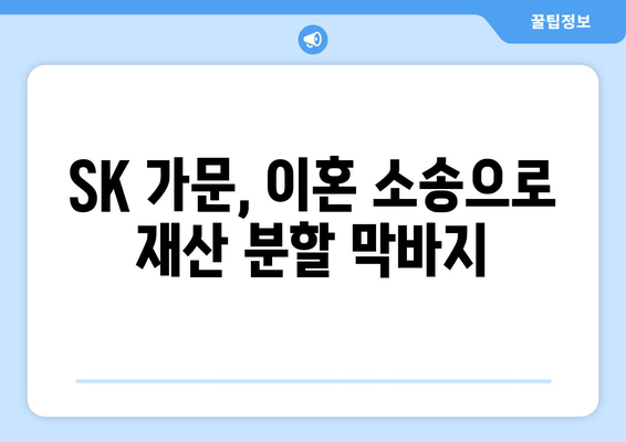 최태원 회장, 재산분할 판결 오류 상고 예정 | SK, 노소영, 이혼 소송, 재산 분할