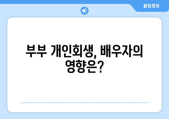 부부 개인회생, 배우자 자산과 소득이 재산 분할에 미치는 영향| 변화되는 법률 및 실제 사례 | 개인회생, 재산분할, 부부, 배우자, 자산, 소득