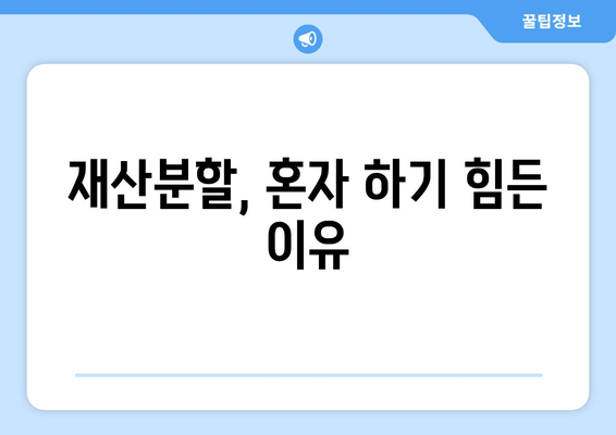 이혼 재산분할, 전문가 도움이 필요한 이유 | 재산분할, 조력, 법률, 이혼, 변호사