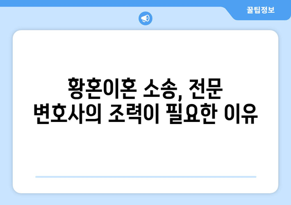 황혼이혼 재산분할 소송, 쟁점과 전략| 주요 논점 심층 분석 | 이혼, 재산분할, 소송, 변호사, 법률