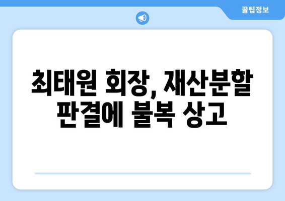 최태원 회장, 재산분할 판결 오류 상고 예정 | SK, 노소영, 이혼 소송, 재산 분할