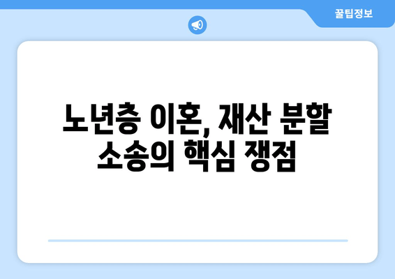 황혼 이혼, 재산 분할 소송의 쟁점과 해결 방안 | 노년층 이혼, 재산분할, 소송 전략