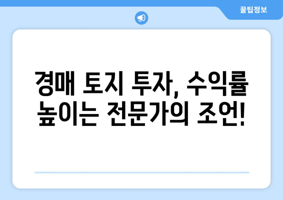 재산 경매 토지 구매 완벽 가이드| 성공적인 투자 전략 | 경매, 토지 투자, 부동산