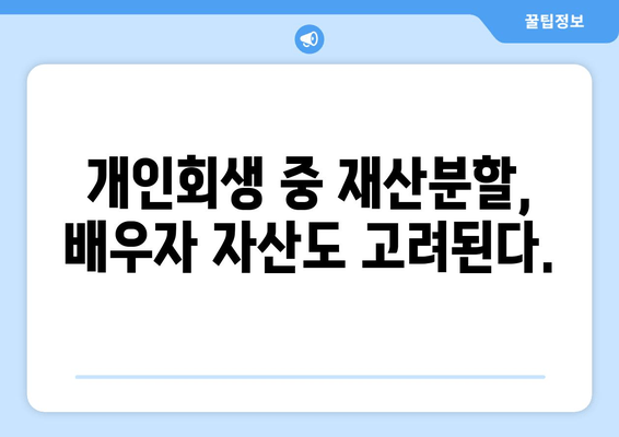 부부 개인회생, 배우자 자산과 소득이 재산 분할에 미치는 영향| 변화되는 법률 및 실제 사례 | 개인회생, 재산분할, 부부, 배우자, 자산, 소득