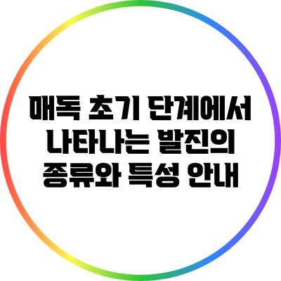 매독 초기 단계에서 나타나는 발진의 종류와 특성 안내