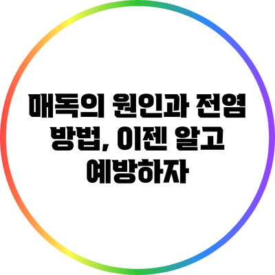 매독의 원인과 전염 방법, 이젠 알고 예방하자