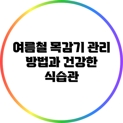 여름철 목감기 관리 방법과 건강한 식습관