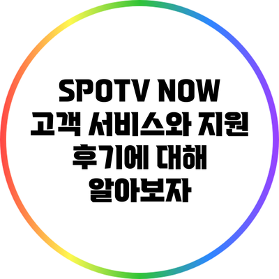 SPOTV NOW 고객 서비스와 지원 후기에 대해 알아보자