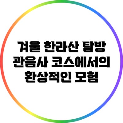 겨울 한라산 탐방: 관음사 코스에서의 환상적인 모험
